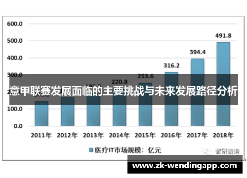 意甲联赛发展面临的主要挑战与未来发展路径分析