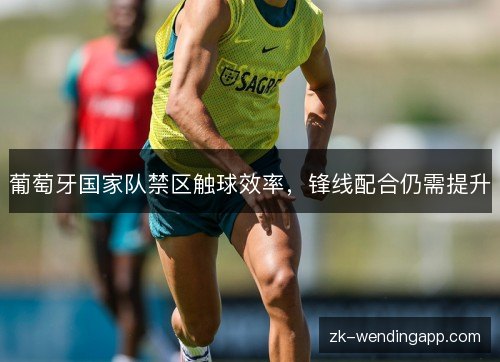 葡萄牙国家队禁区触球效率，锋线配合仍需提升